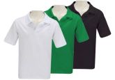 Camisa gola polo